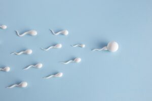 Elegir donante de semen - espermatozoides